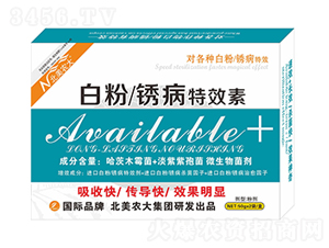 �׷����P����Ч��-�����r(n��ng)��