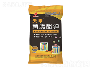 ����S�����-�A��