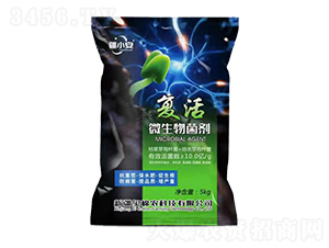 ��(f��)��΢�������-�t���r(n��ng)