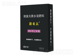 ���ϴ󵰰׺�С����-�|¡�r�I(y��)