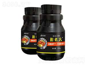 ���׺�С����-���ϴ�-�|¡�r(n��ng)�I(y��)