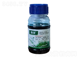 10%���@�ˮ��-�ڠ�-�����r(n��ng)��