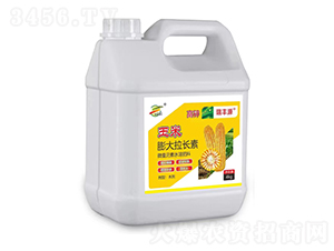 ����������L(zh��ng)��-����