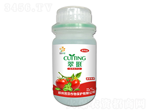 ֲ�ﾫ�A��-��ͦ-�ŷ�����