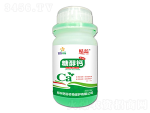 �Ǵ��}-����-�ŷ�����