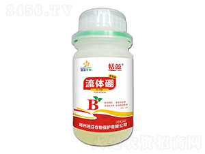 ���w��-����-�ŷ�����