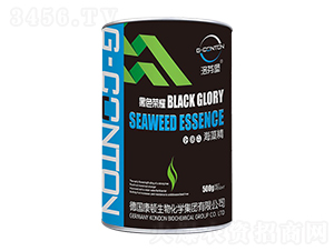 G-CONTON����ɫ�sҫ���徫-��ұ�-�A����