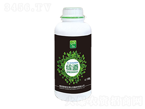 G-CONTON�G��-��ұ�-�A����