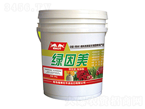 �G����-��̩�tţ