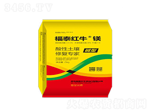 ���������ޏ͌���-��̩�t�����V