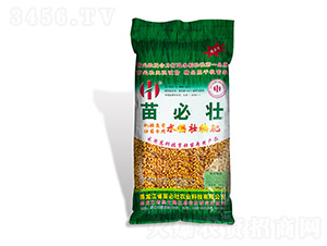 �C��P�����猣��ˮ��������-��؉�