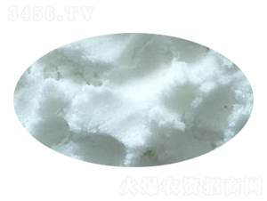 �����������@-��(sh��)�����B(t��i)