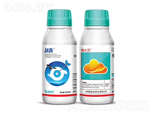 ��(zh��n)��+���-�ێ�