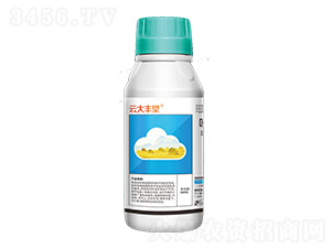 17%���򡤷��h(hu��n)��Ҹ���-�ƴ��S��-�ێ�