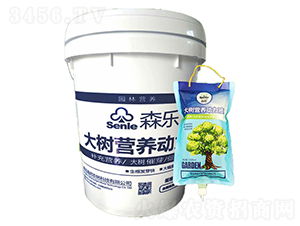 ���I�B(y��ng)��(d��ng)��Һ-ɭ��-�����r(n��ng)��