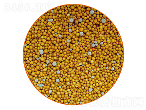 ��֬����-�����r�I(y��)