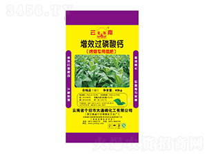 ������(zhu��n)����Ч�^(gu��)�����}-��ͨ�׻���