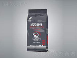 �ݲ�ѿ�ߗU��-Ӣ¶�����S