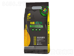 �d�w���S�ù��-��ή����ɢ-Ӣ¶�����S