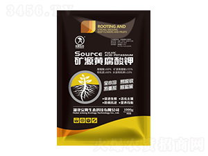 �VԴ�S�����-��¡���B(t��i)