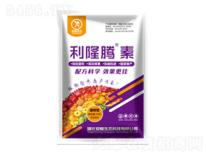 ��¡�v��-��¡���B(t��i)