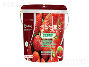 ��ݮ���÷�-��¡���B(t��i)