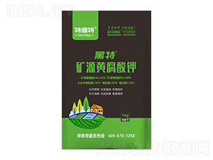 �VԴ�S�����-�ؾS��