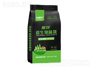 ΢����������ۄ���-�ؾS��