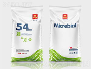 ΢�������54��-��ɽ��