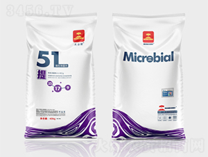 51��΢�����������-��ɽ��