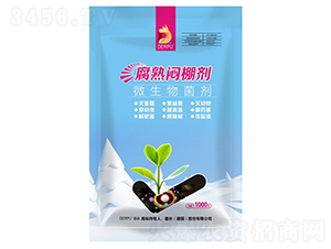 ���쐞�-��