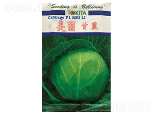 �������{(l��n)-���{(l��n)�N��-ɽ��ʢ�N��