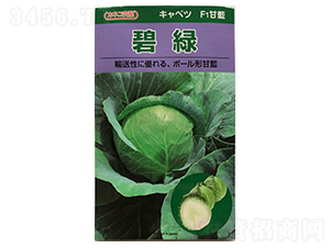 �̾G���{(l��n)-���{(l��n)�N��-ɽ��ʢ�N��