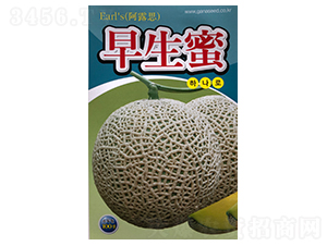 ������-��ϷN��-ɽ��ʢ�N��