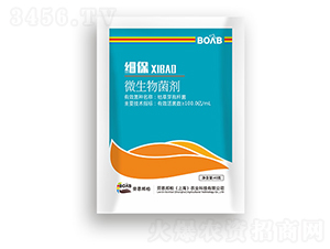 ��(x��)��΢�������-�ڶ����