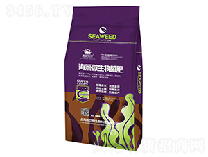 ����΢�������-���ؐ��-�G���r��