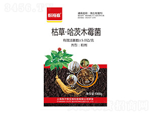 �ݲݡ�����ľù��-������-�G���r(n��ng)��