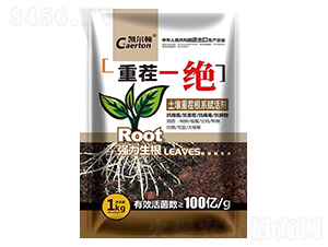 �ز�һ�^-�P���D-�G���r(n��ng)��