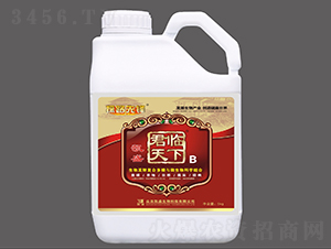 ΢�������-���R����B-�Pʢ