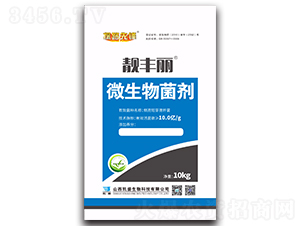 �n�S��΢�������-̽·���h-�Pʢ