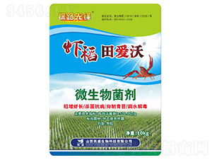 �r�������΢�������-̽·���h-�Pʢ