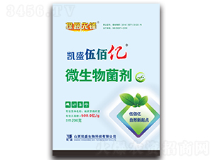 �Pʢ��ۃ|΢�������-̽·���h-�Pʢ