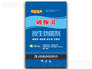 �ư��`΢�������-̽·���h-�Pʢ