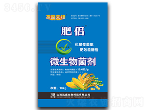 �ʂH΢�������-̽·���h-�Pʢ