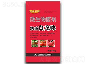 �Pʢ������΢�������-̽·���h-�Pʢ