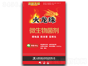 ������΢�������-̽·���h-�Pʢ