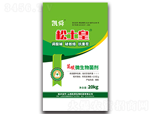 ��̼��΢�������-������-�Pʢ