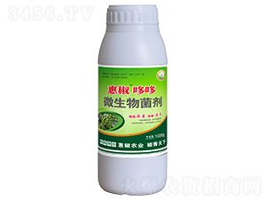 �ݽ��߶�΢�������-�Pʢ