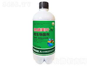 �Pʢ���~��A΢�������-�Pʢ