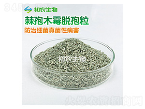 ����ľùÓ������ľù�-���r(n��ng)����